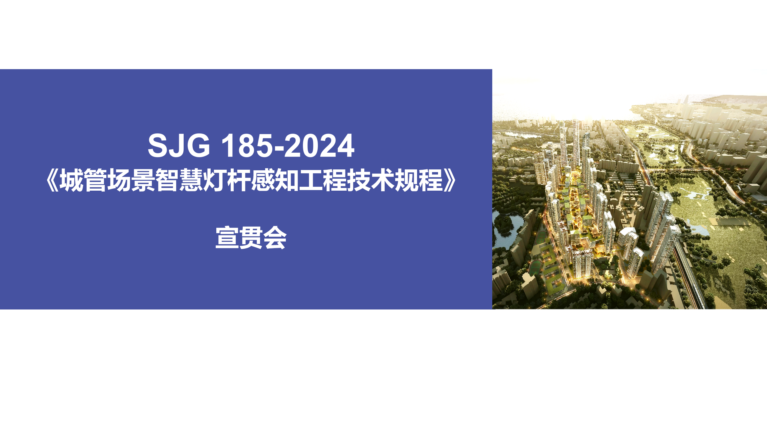 城管场景智慧灯杆感知工程技术规程-宣贯会-2025.0423-V1.1_01.png